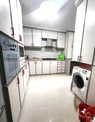 Blk 110 Mcnair Spring (Kallang/Whampoa), HDB Executive #460919881